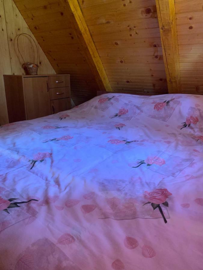 Vikendica Fedoni Villa Zabljak  Ngoại thất bức ảnh